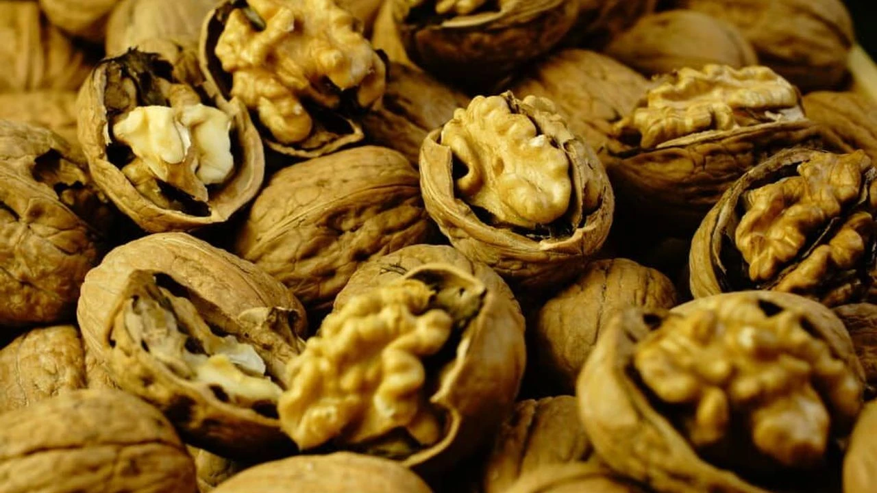 TİGEM 20 ton ceviz satacak