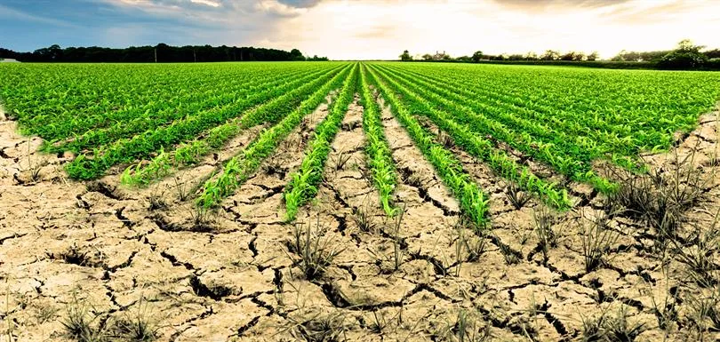 İşlenmeyen tarım arazileri için düğmeye basıldı