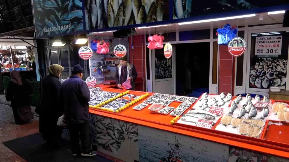 Bolu’da Balık Fiyatları Düştü