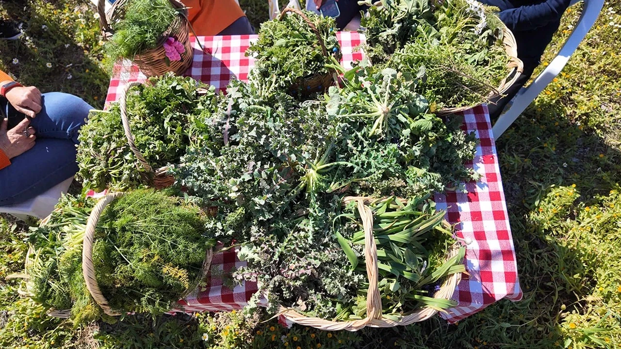 Urla Ot Bayramı 28-29 Mart’ta gerçekleşecek