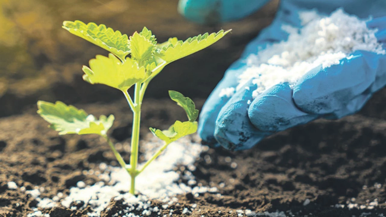 Savaş gübre piyasasını da vurdu..