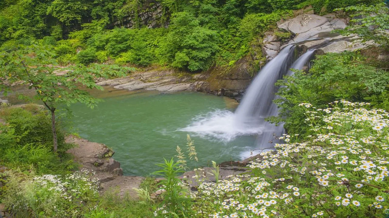 Ordu’nun Gözbebeği Karaoluk Şelalesi