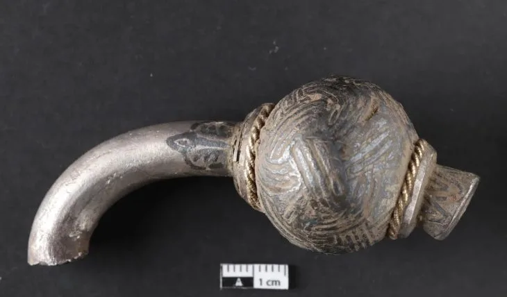 Genç Metal Dedektörü Kullanıcısı Danimarka’da Devasa Viking Hazinesini Keşfetti