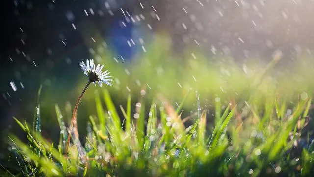 Son yağışlar da tabloyu değiştirmedi: Kuraklık sürüyor