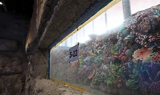 30 farklı akvaryum eşsiz bir gezi yaşatacak