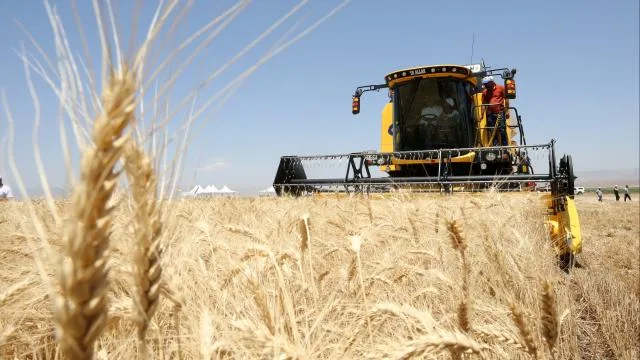 Güneydoğu Anadolu’dan 871 milyon dolarlık hububat ihracatı