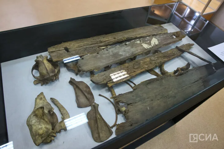 Sıra Dışı Cenaze Töreni