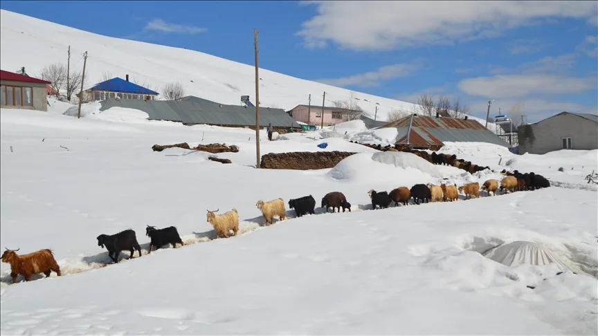 Muş’ta metrelerce karın bulunduğu köylerde yaşayanlar baharı bekliyor