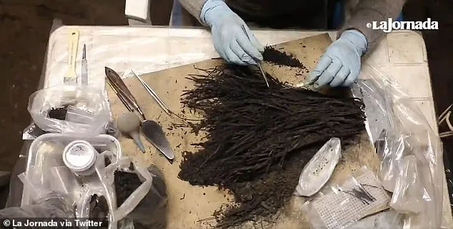 Teotihuacan’da 1.800 yıllık neredeyse bozulmamış çiçek buketleri bulundu.