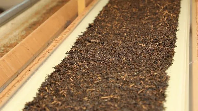 Türk çayı ihracatı 34,8 milyon doları aştı