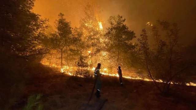 2026’te çıkan orman yangınlarının yüzde 96’sı insan kaynaklı