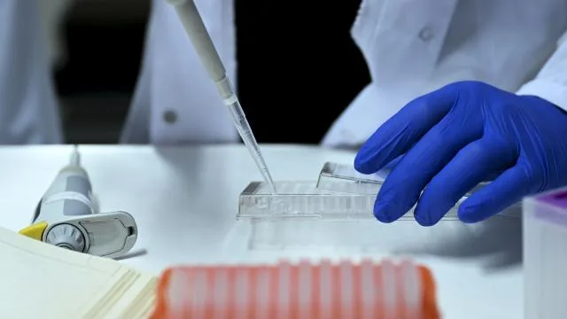 Türkiye’nin ilk özgün ilaç adayının faz 1 çalışması tamamlandı