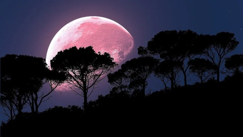 Baharın habercisi Pembe ay ne zaman görünecek
