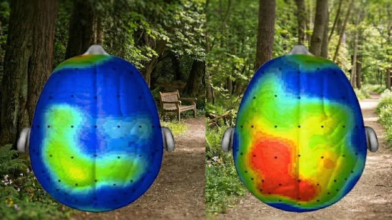 20 dakika yürüyüşün bile beynimize inanılmaz etkisi