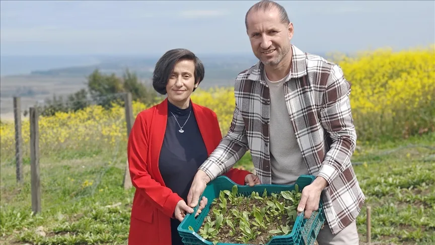 Samsunlu girişimci çift, üretimine başladıkları ak zambak soğanlarını ihraç etmek istiyor