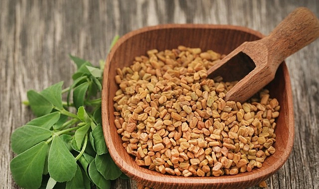 Prof. Dr. Nurhan Ünüsan; “Demirhindi, Bamya ve Çemen Otu, Mikroplastiklere Karşı Doğal Çözüm Sunuyor”