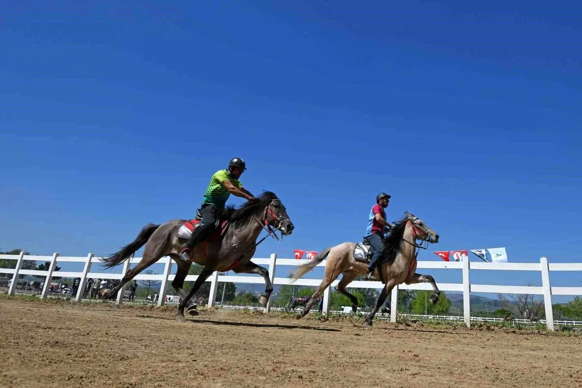 Osmangazi’de 21. Rahvan At Yarışları Coşkusu