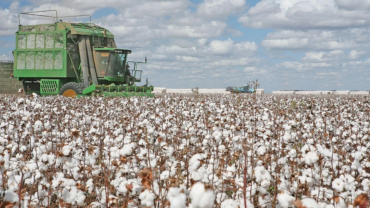 Tekstil sektörü “Hürmüz gerilimi” nedeniyle pamuğa yöneldi