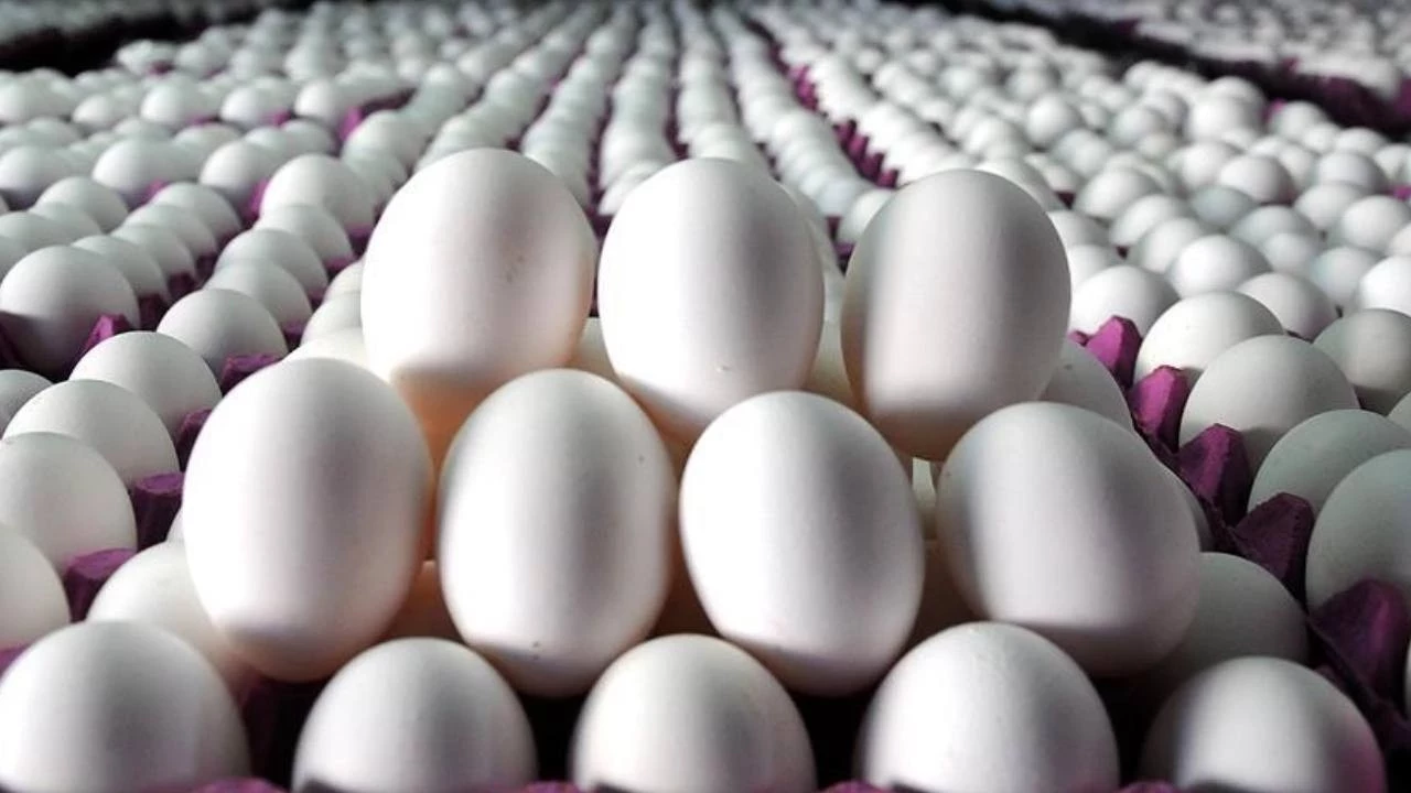 Yumurtada zam korkusu.. İhracat kotası 5 kat arttı