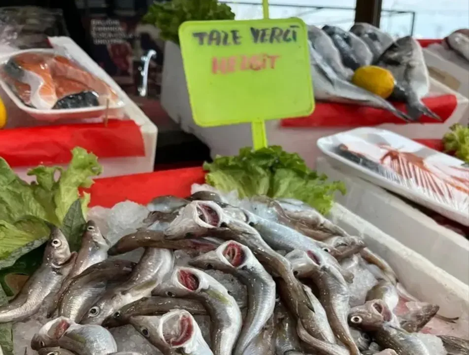 Azalan balık çeşitliliği.. şimdi tezgahlarda neredeyse sadece mezgit var