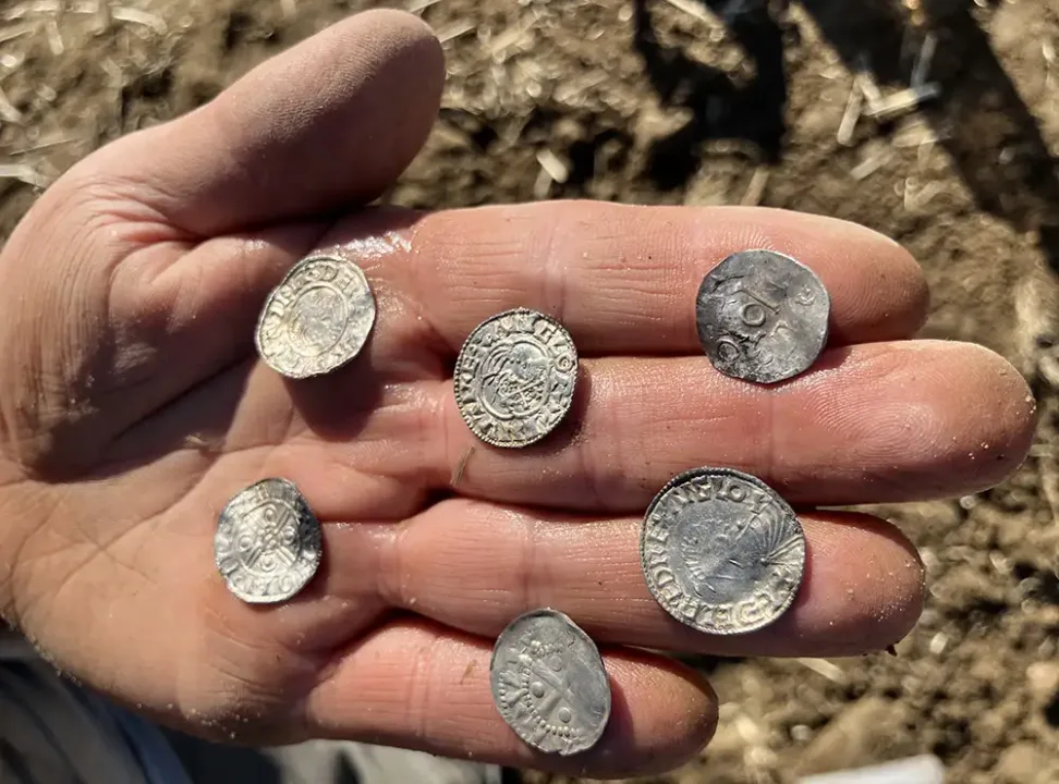 Devasa Viking Çağı madeni para hazinesi keşfedildi