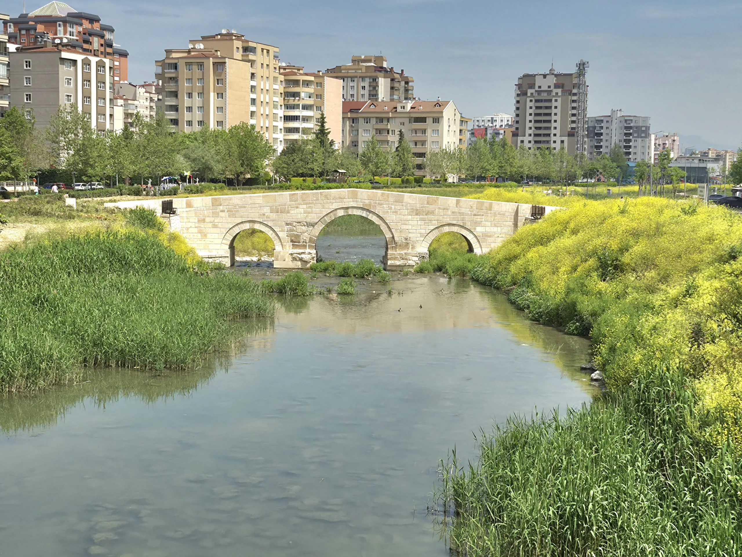 Roma’dan Beri İnsanları Taşımaya Devam Ediyor!