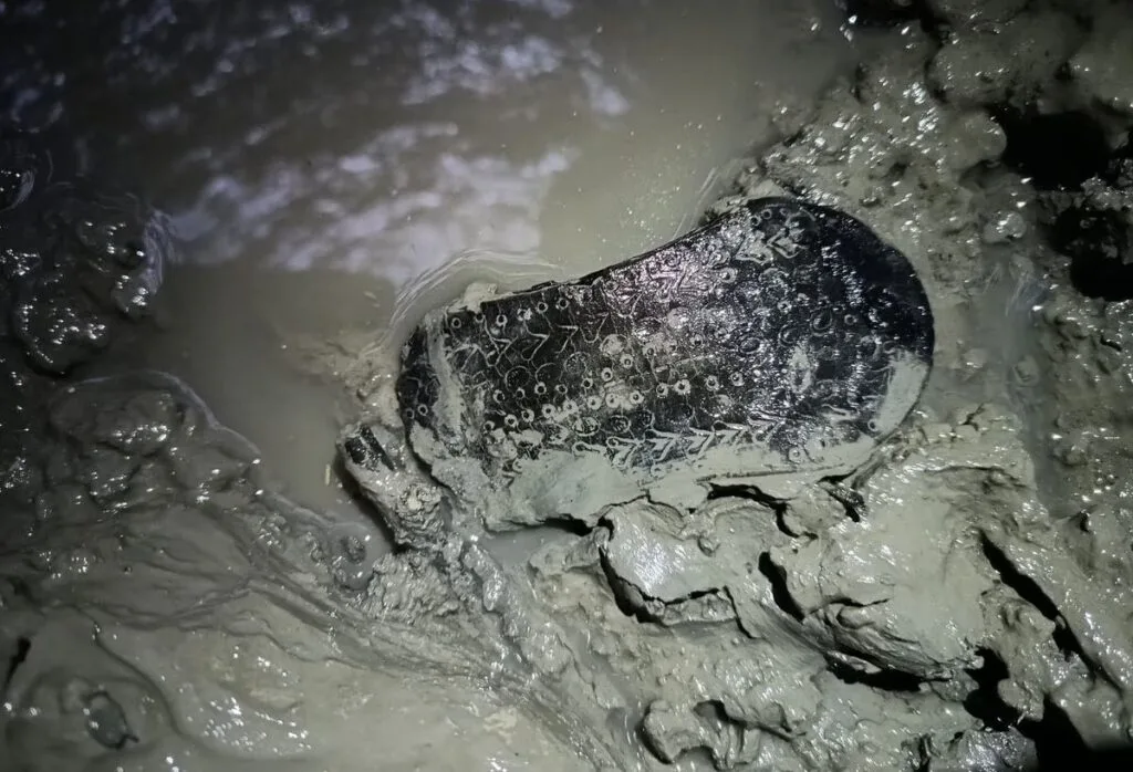 İspanya’da 2.000 Yıllık Benzersiz Süslü Roma Sandaleti Keşfedildi