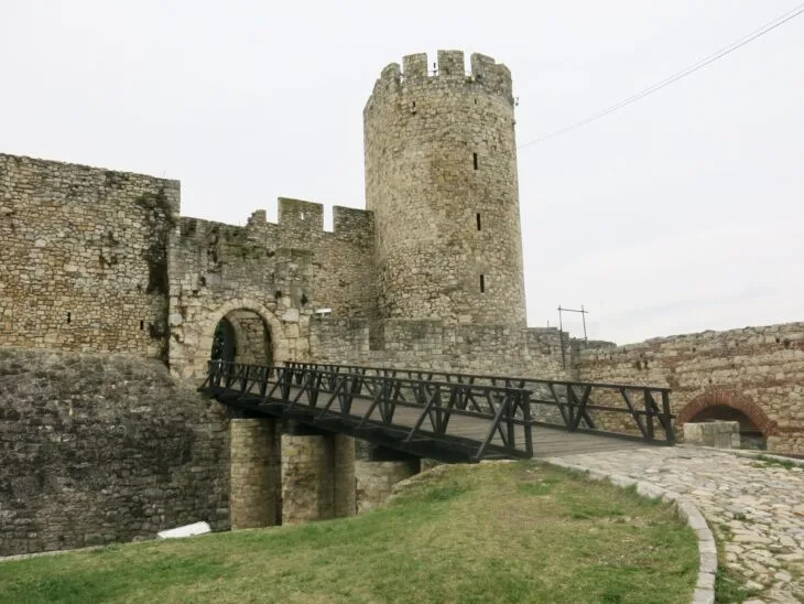 Belgrad Kalesi’nden Çıkarılan İlk Ortaçağ Deve Kemikleri Balkanlar’da Sıra Dışı Bir Keşfi Ortaya Çıkardı