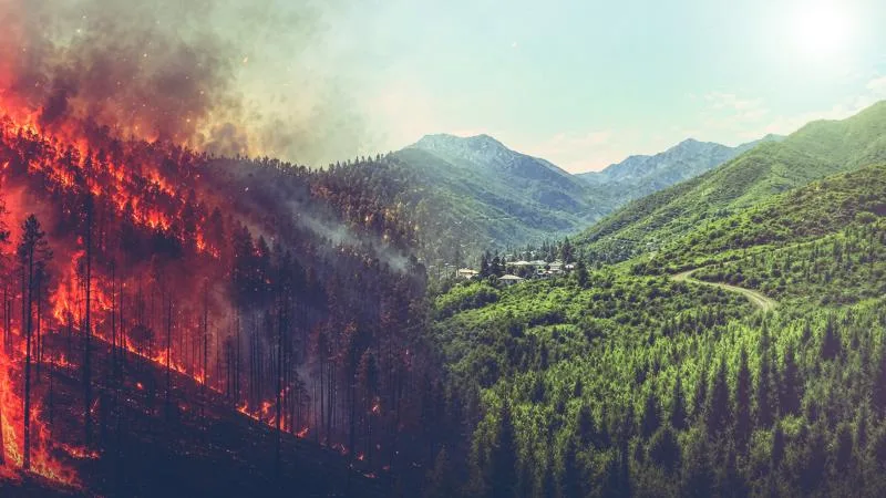 El Nino orman yangını riskini artırıyor