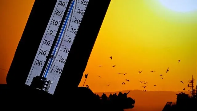 Almanya’da aşırı sıcak alarmı: Yangın riski arttı, ulaşımda aksama uyarısı yapıldı