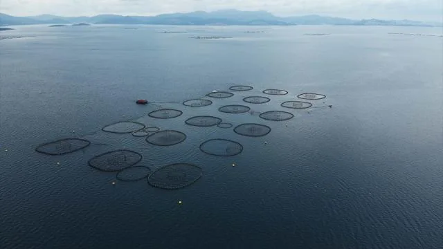 Su ürünleri kaynaklarının sürdürülebilirliği için Ulusal Eylem Planı yayımlandı