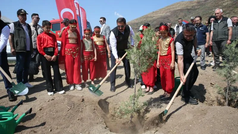 Hatay’da orman yangınında zarar gören alanlar ağaçlandırılıyor