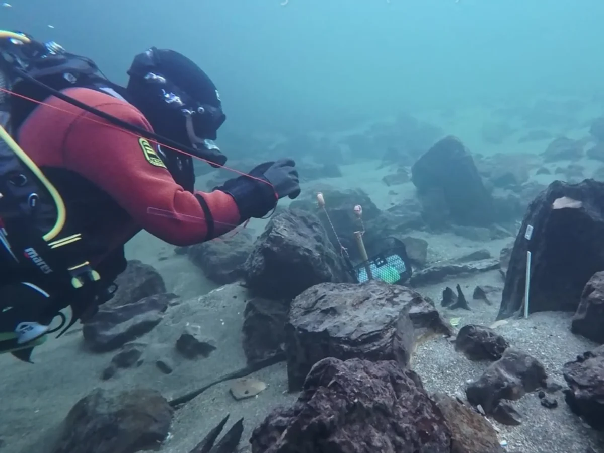 İsviçre’nin Solothurn kentinde Aare Nehri’nin altında 1.700 yıllık Roma köprüsü keşfedildi.