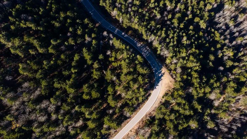 Adana’da ormanlık alanlara girişler yasaklandı