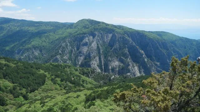 Kazdağları Milli Parkı’nın büyük bölümü ziyarete kapatılıyor