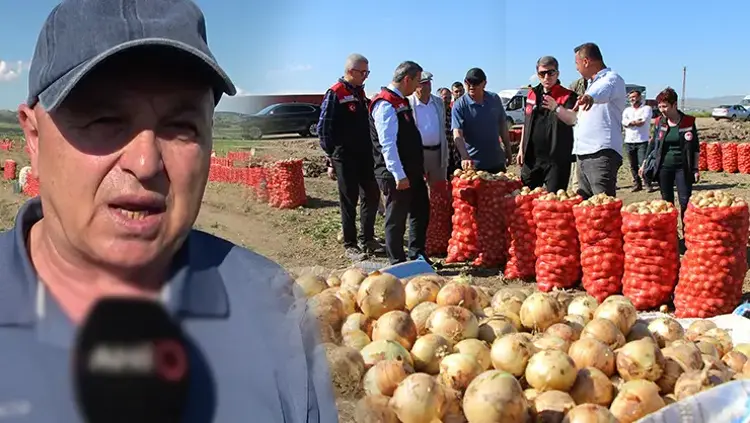 Kolesterolü düzenleyip tansiyonu dengeliyor.. Beklenen hasat başladı