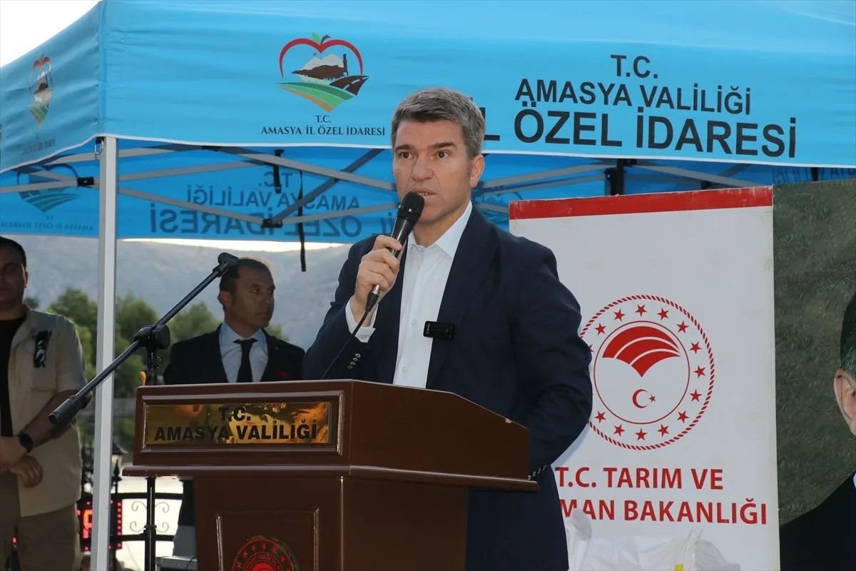 Amasya’da Kiraz Yarışması Düzenlendi
