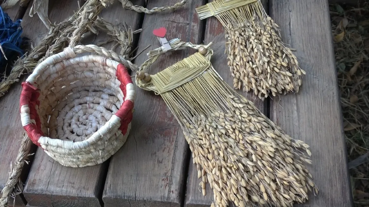 Bafra zembilinde pirinç sapı ekonomiye kazandırılıyor