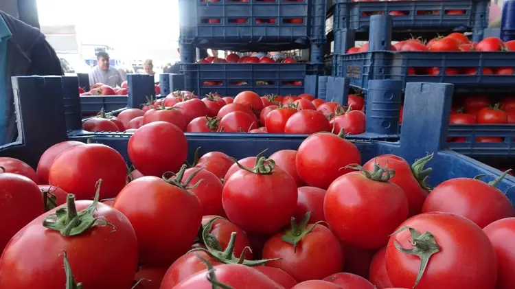 Fiyatı 15 TL’ye kadar düştü! Kışın yanına yaklaşılmıyordu..