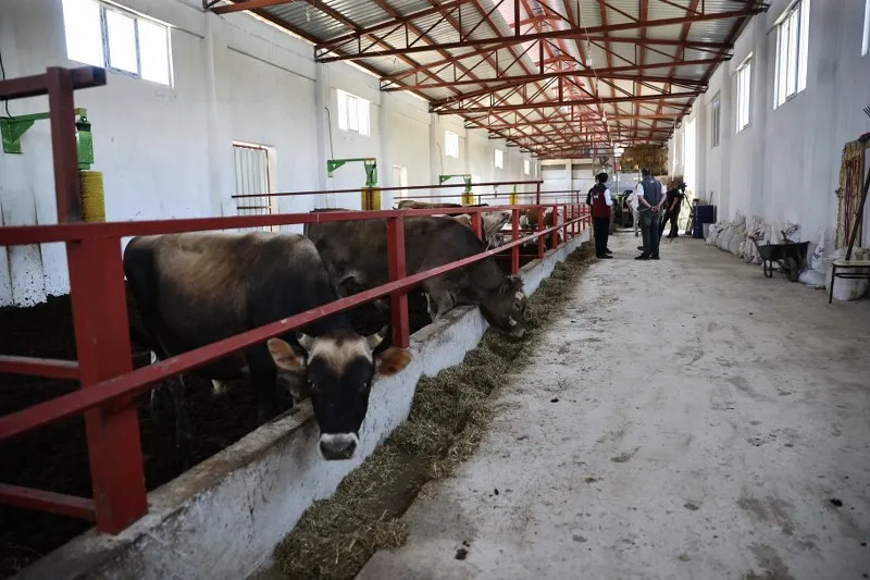 Sinop’ta bir ilk: Devlet desteğiyle Avrupa Birliği standartlarında dev tesis kuruldu