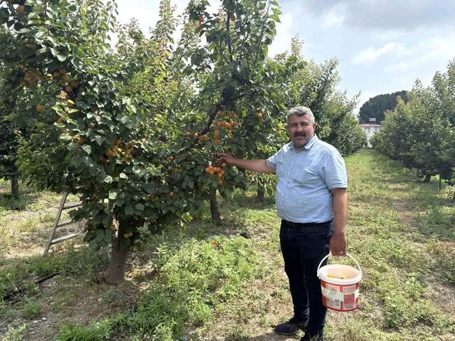 Mühendis tavsiyesiyle başladı, şimdi paraya para demiyor