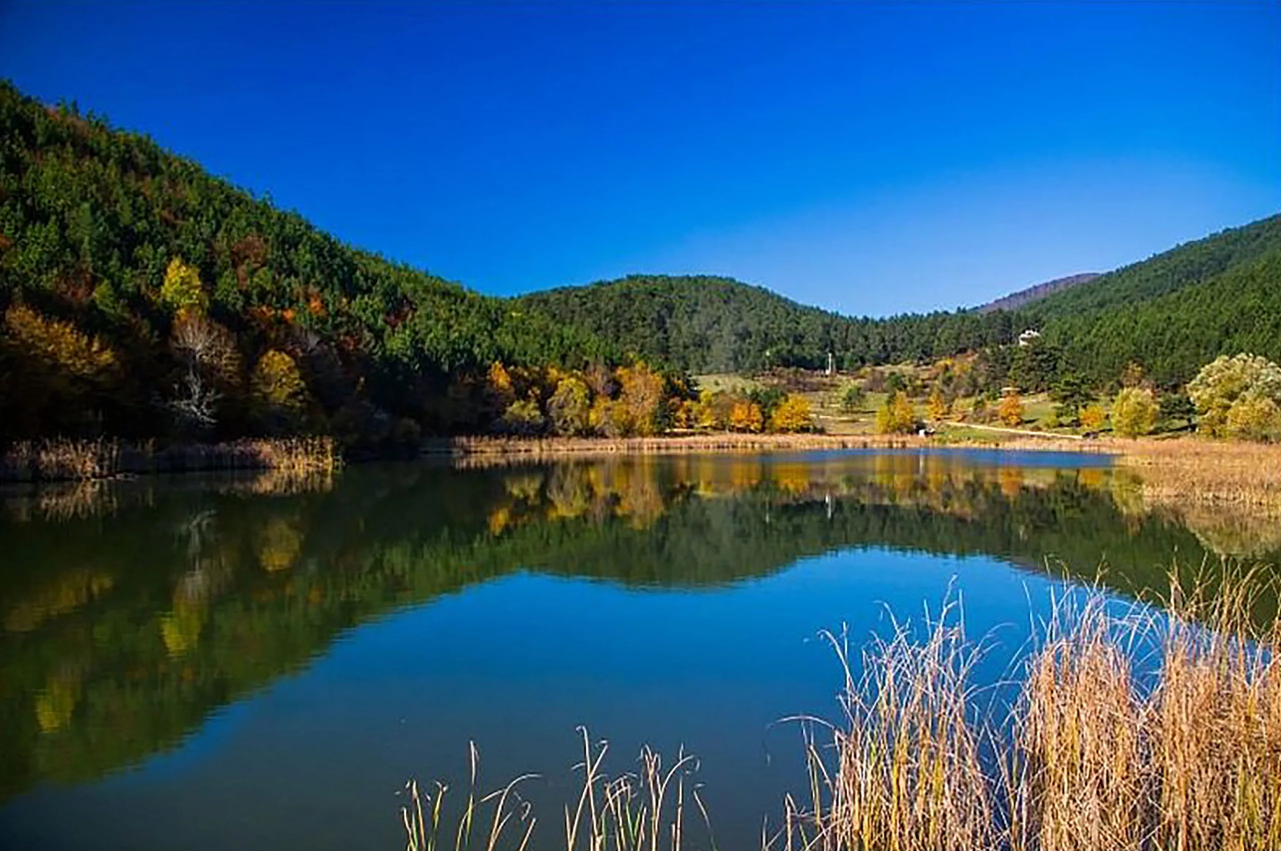 Bolu’nun Saklı Güzelliği: Şirinyazı Göleti
