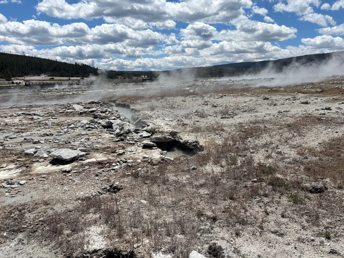 Yellowstone’da Yeni Hidrotermal Patlama: Biscuit Basin’de Kaynayan Su Havuzu Oluştu.