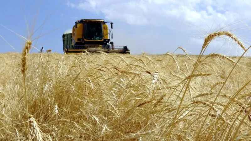 Türkiye, tarımsal hasılada geçen yıl 83 milyar doları aşarak rekor kırdı