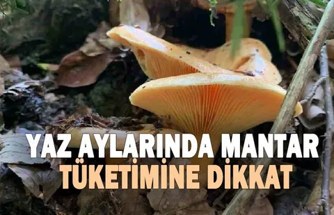 Yaz aylarında mantar enfeksiyonu artıyor!