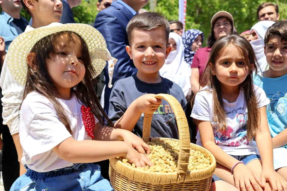 Ulukale dutunda bu yıl 650 ton rekolte beklentisi