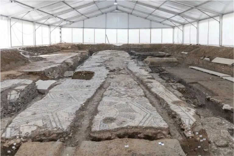 İtalya’nın Oderzo Kentindeki Eski Balık Pazarı Altında Çok Renkli Mozaiklere Sahip Erken Hristiyanlık Dönemine Ait Bazilika Bulundu