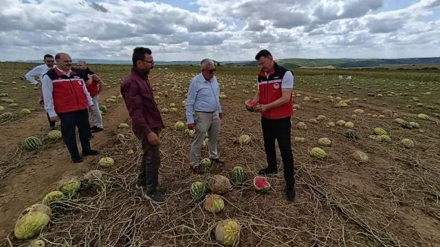 Tekirdağ’da tarım arazilerinde hasar tespit çalışmaları sürüyor