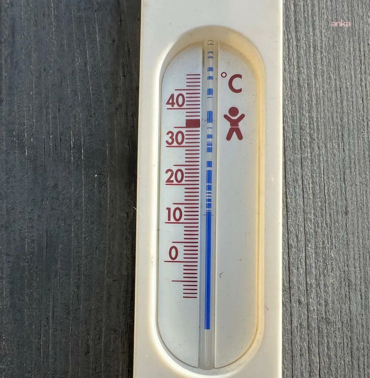 Almanya’da Sıcaklığa Bağlı Ölüm Sayısı 9,8 Bine Ulaştı