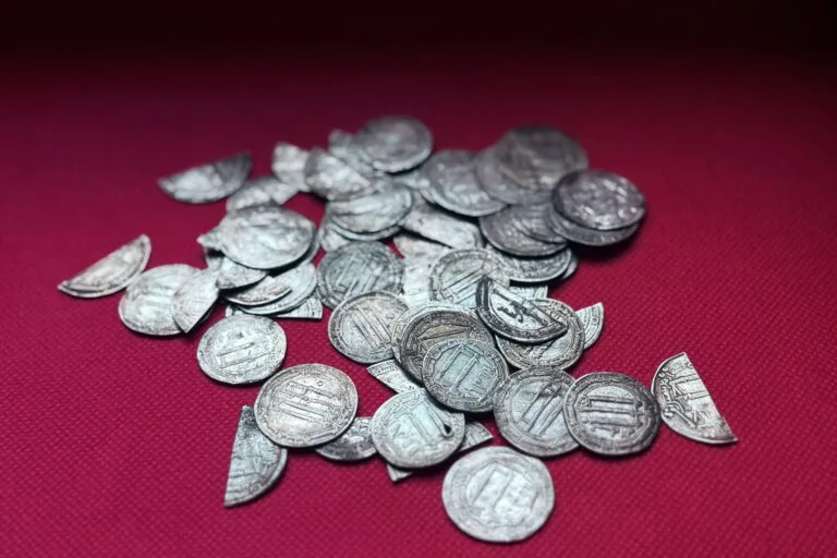 Rusya’nın Kaliningrad Kenti Yakınlarında 59 Arap Gümüş Dirhemlik 1.200 Yıllık Hazine Bulundu